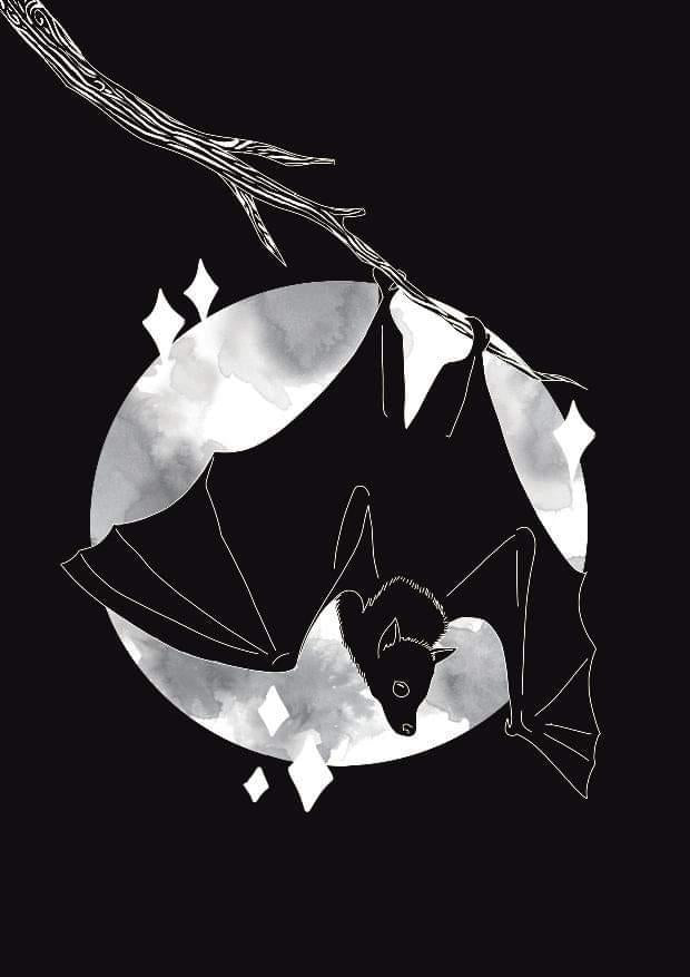 Bat Donation | Prints |