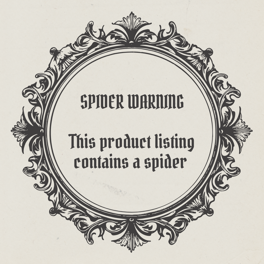 Spiders Web | Frame | Butterfly