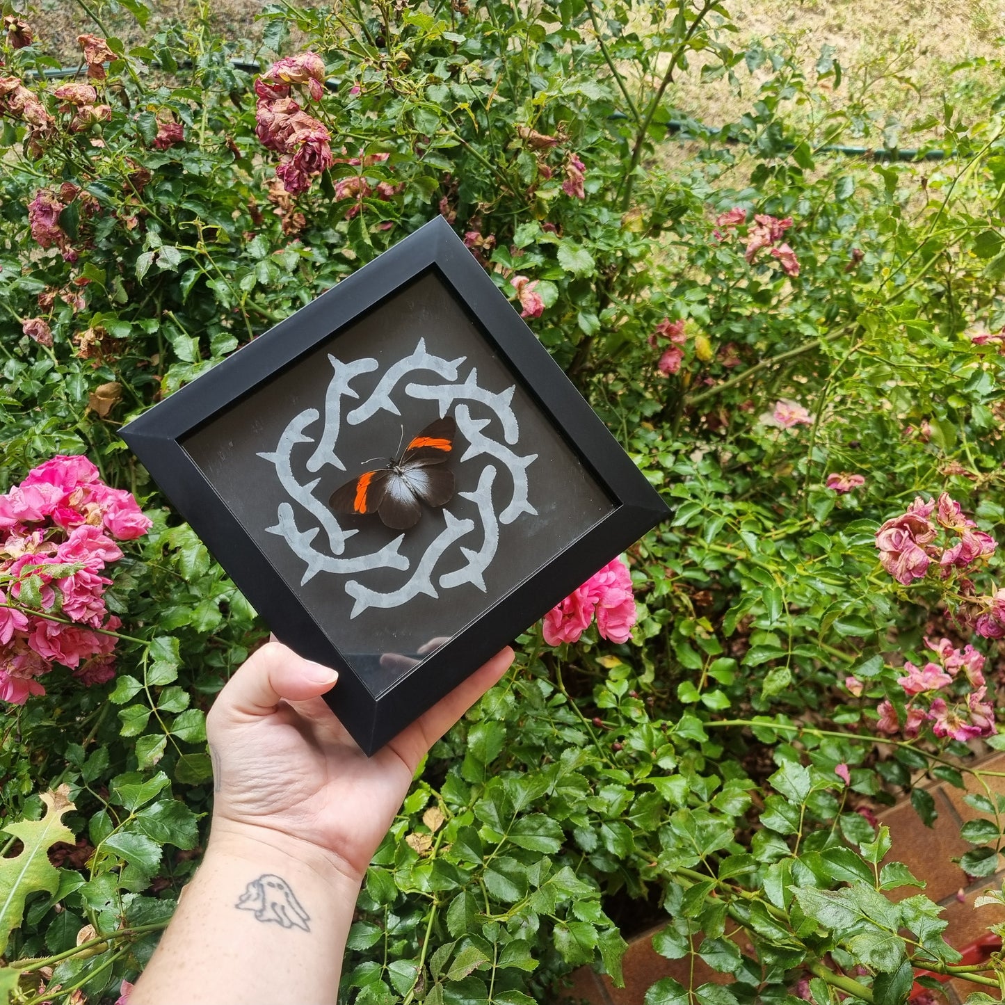 Bad Omens Display - Discounted