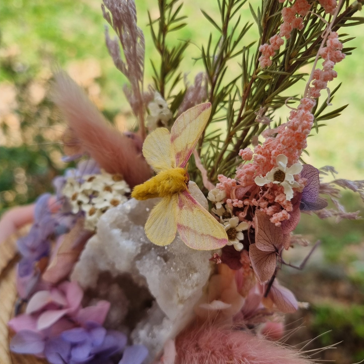 Raffle - Maple Moth