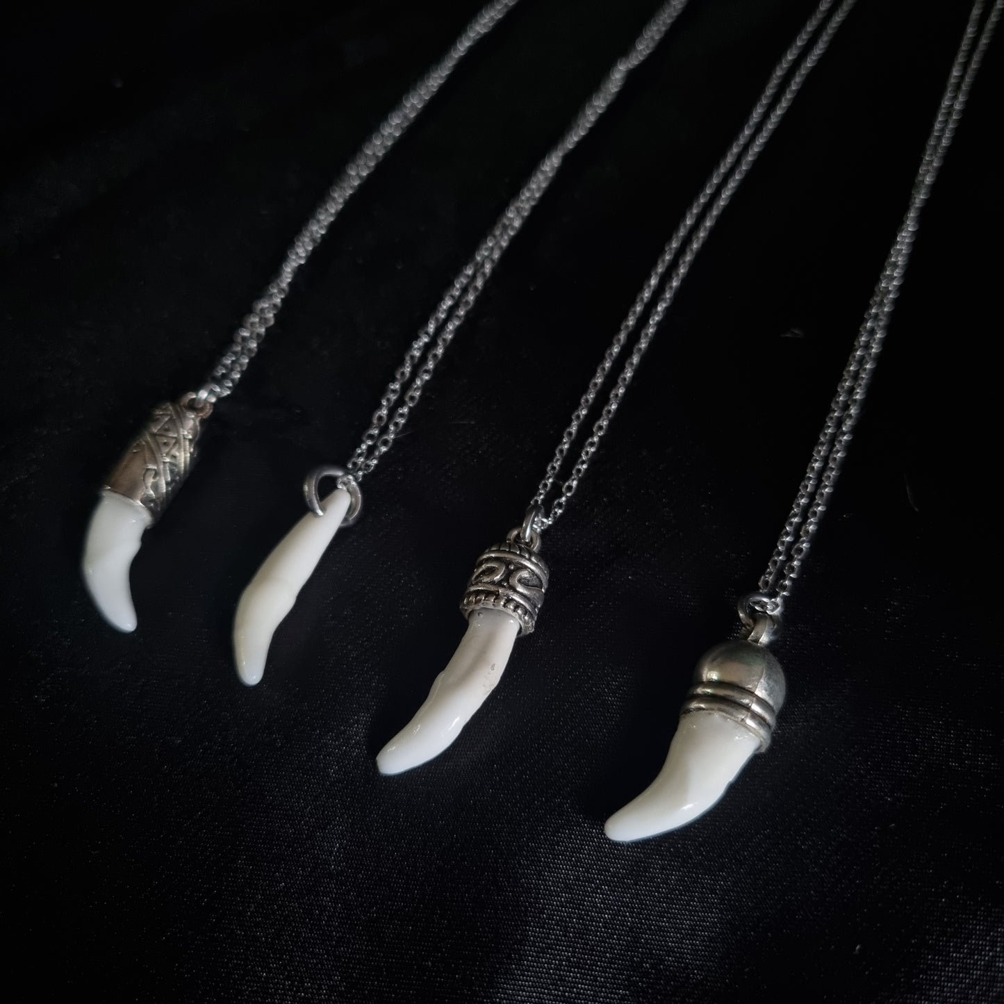 Coyote Tooth Necklace