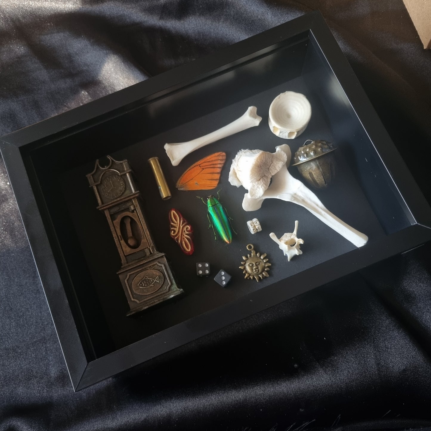 Curio Clock | Mixed Oddity Frame | Framed Entomology Décor | Real Specimen | Nature