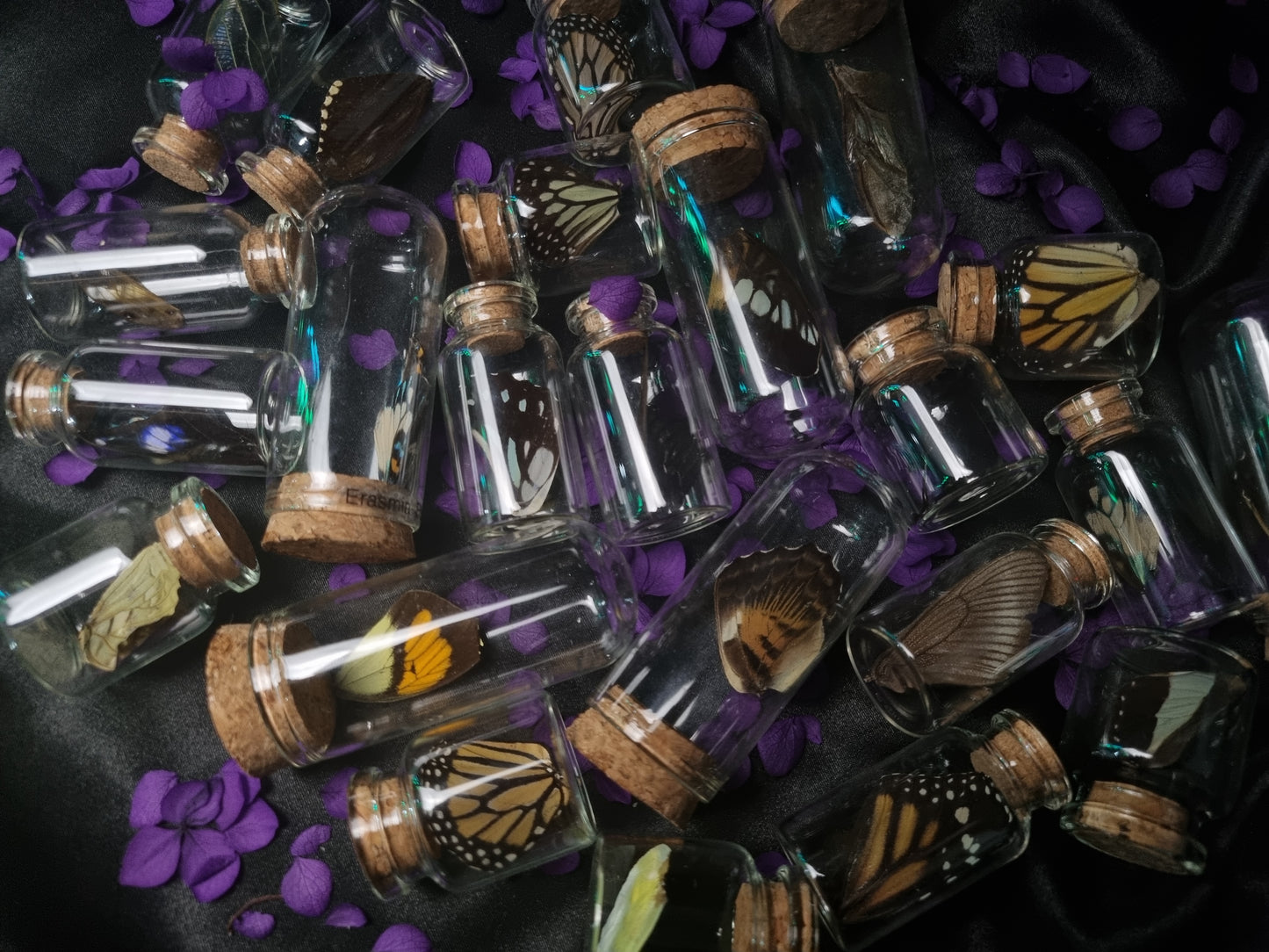 Assorted Wing Jars