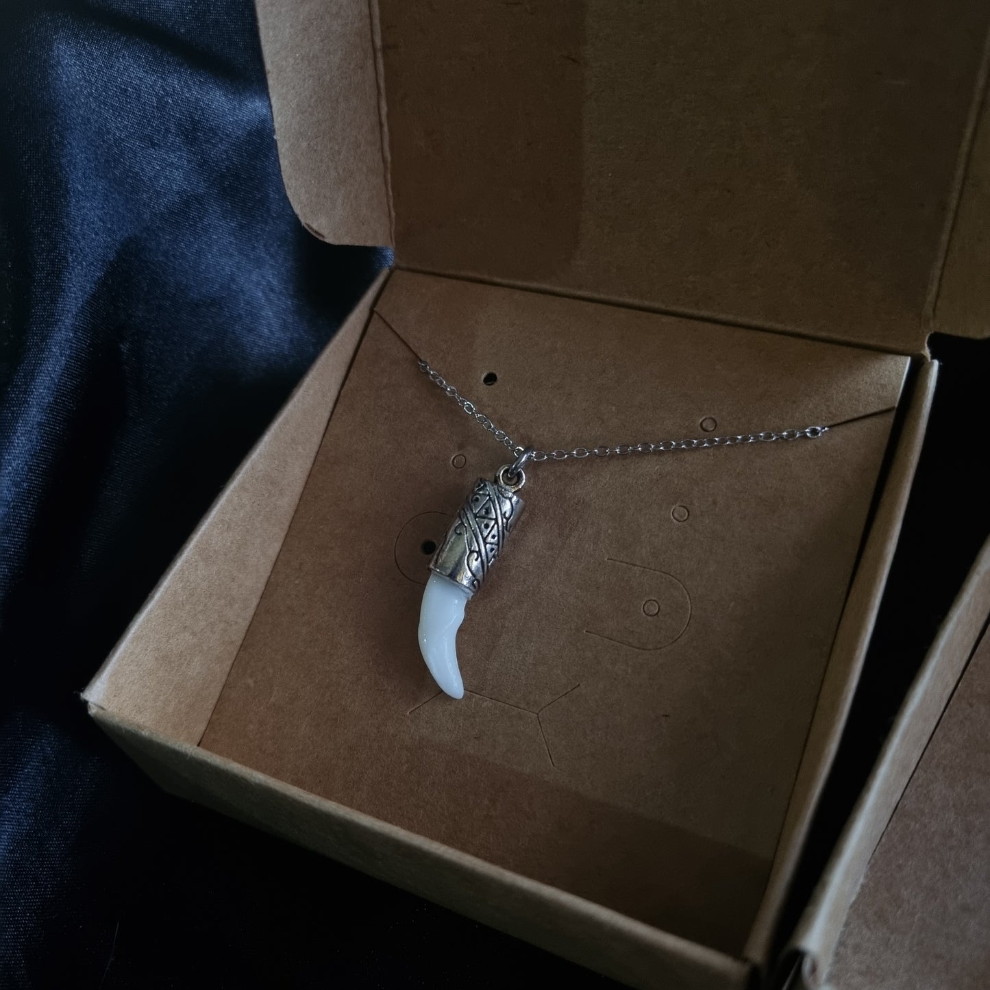 Coyote Tooth Necklace