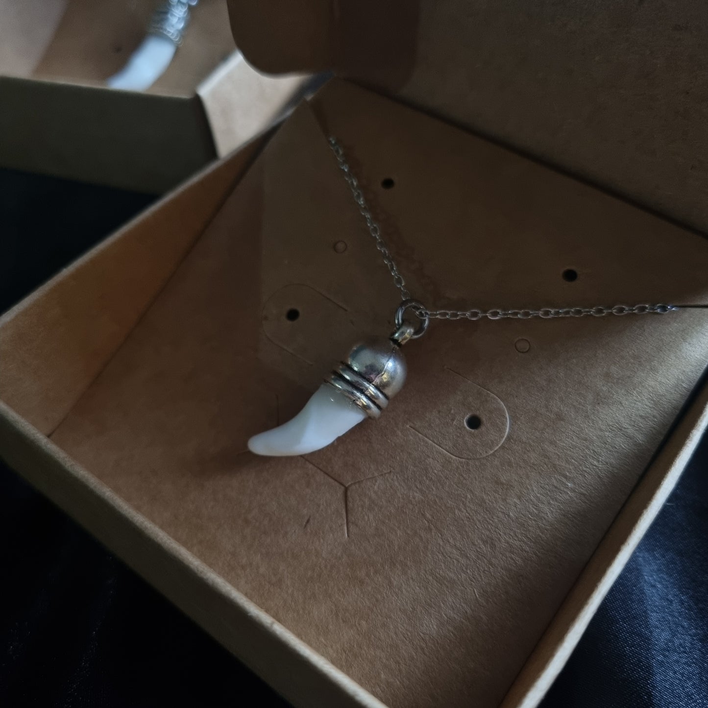 Coyote Tooth Necklace