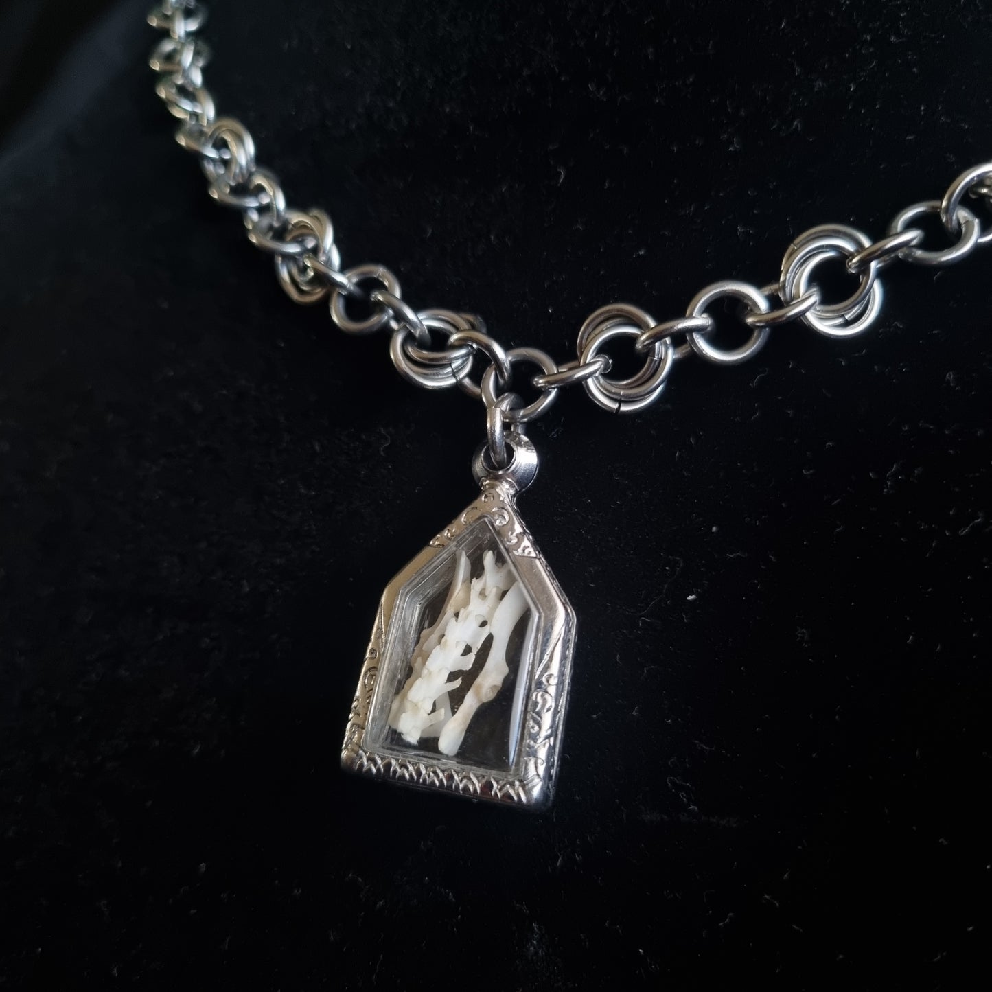 Mouse Pelvis Necklace |