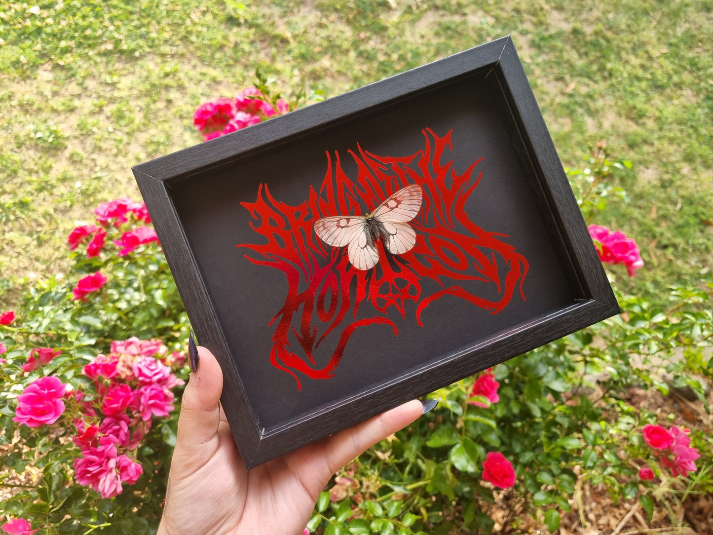 Made To Order | Band Frames