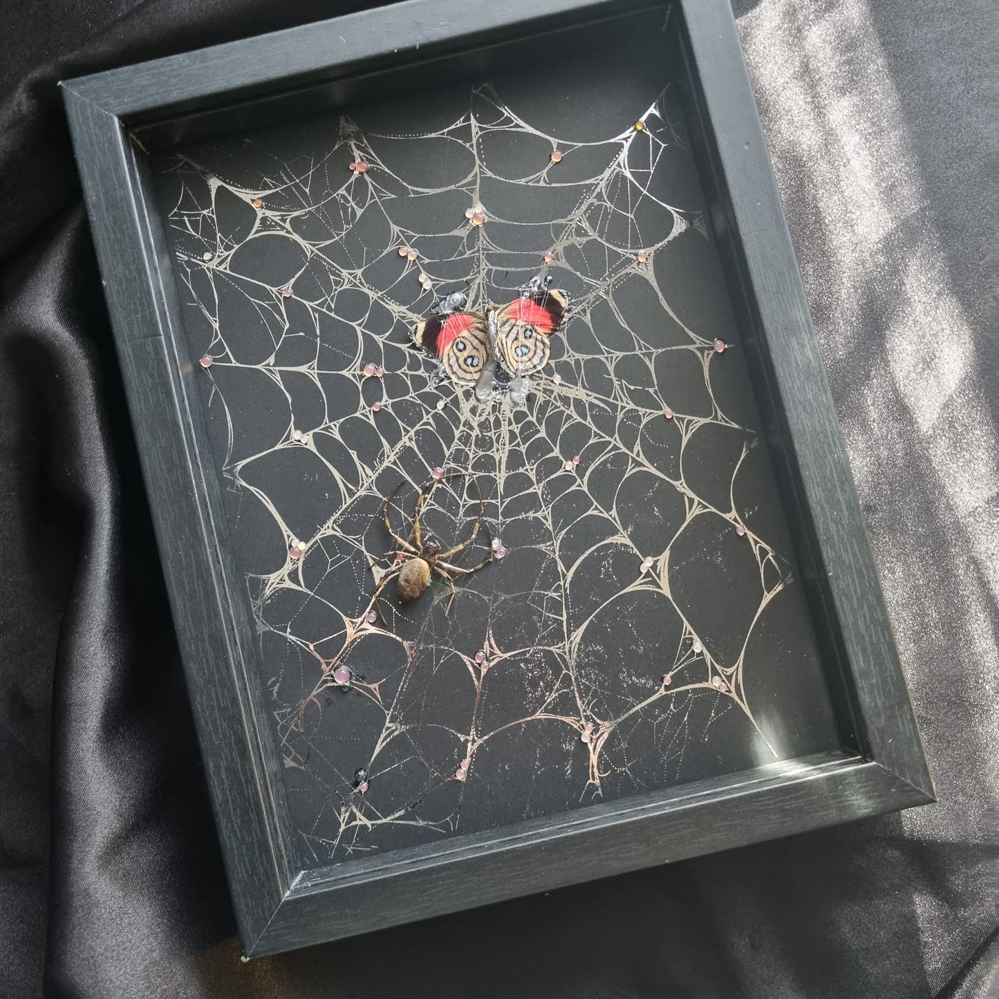 Spiders Web | Frame | Butterfly