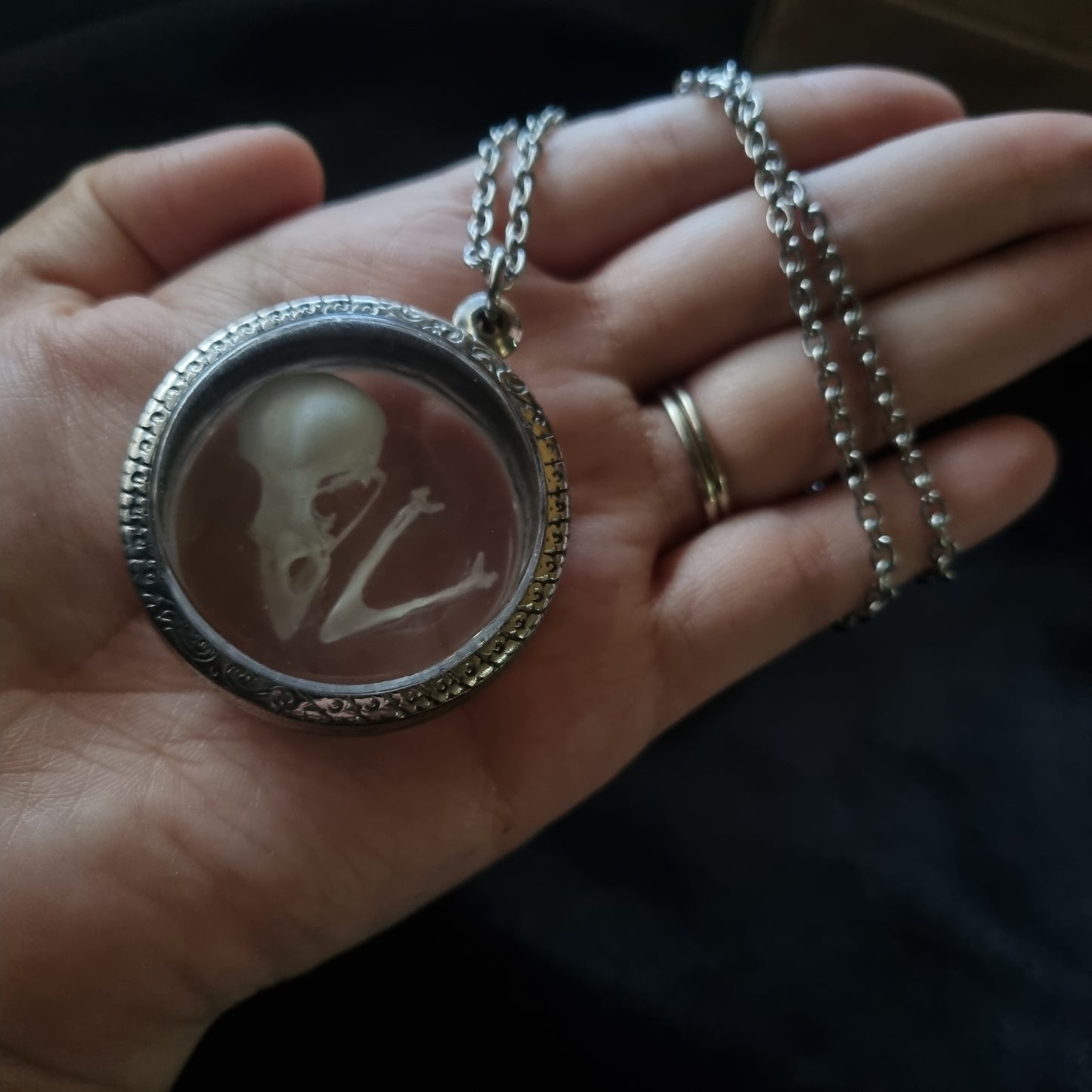 House Sparrow Skull Pendant