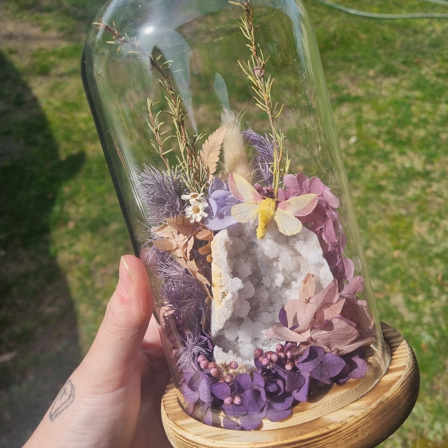 Custom Order Maple Moth