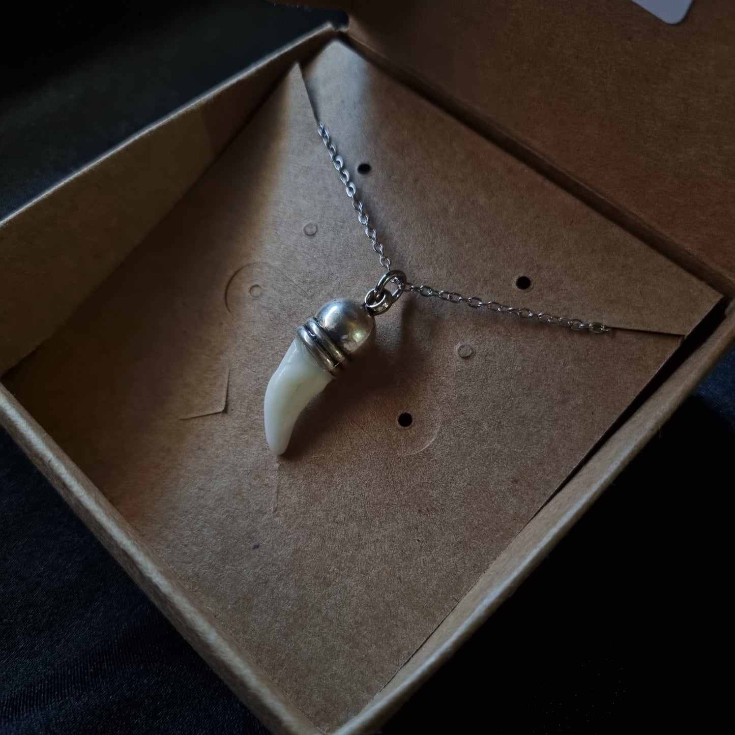 Coyote Tooth Necklace