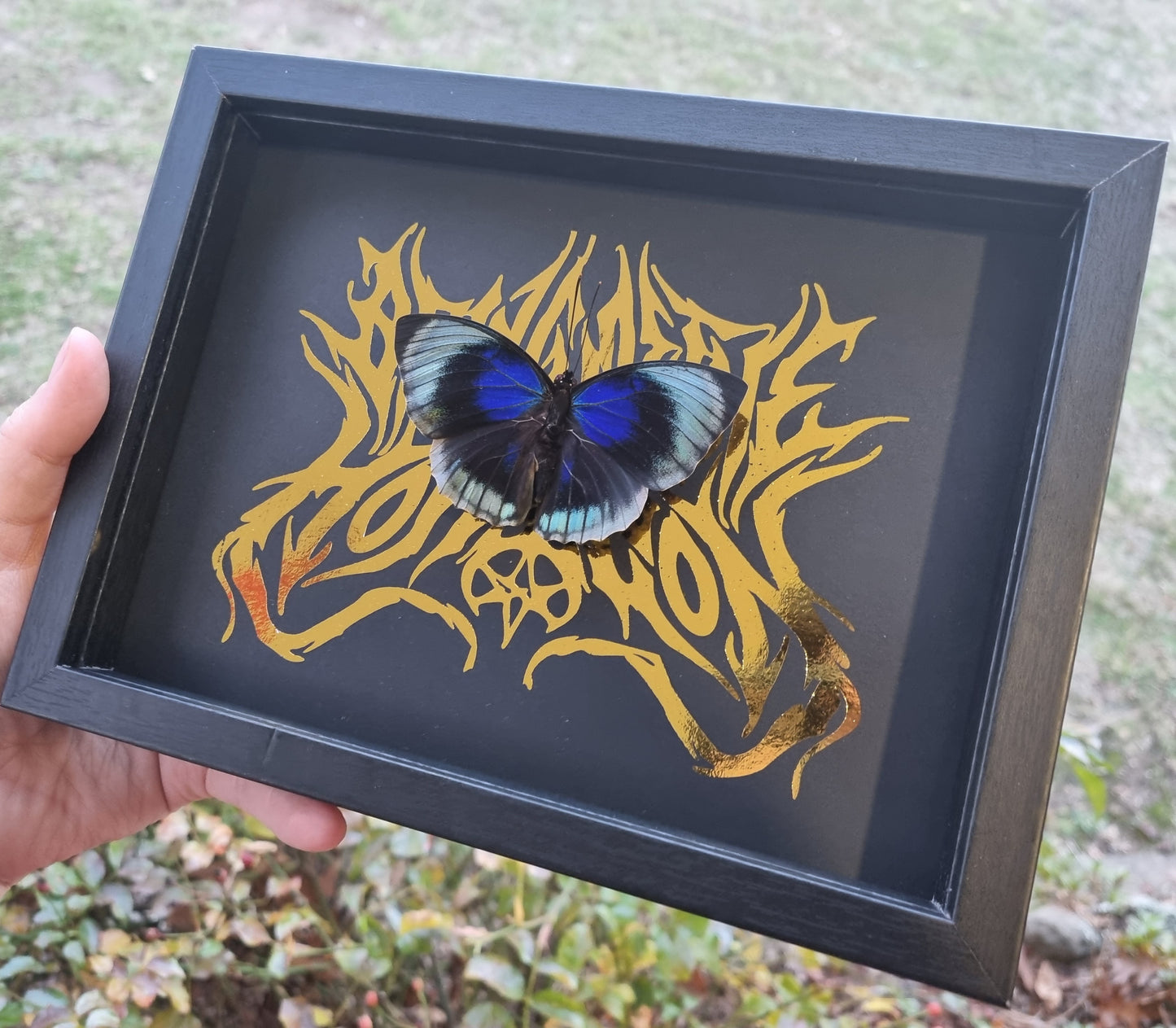 Bring Me The Horizon | Agrias Beatifica | Frame