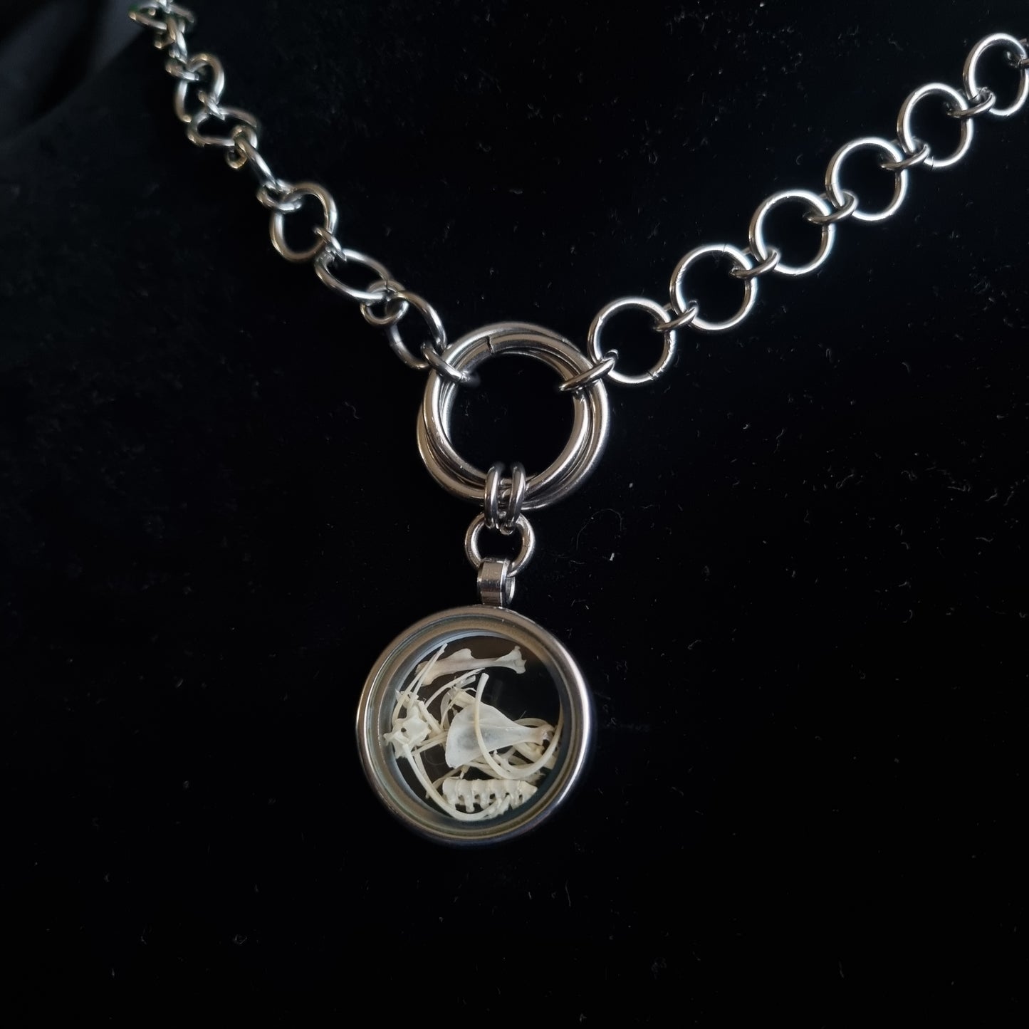 Mouse Bone Necklace | Handmade | Stainless Steel