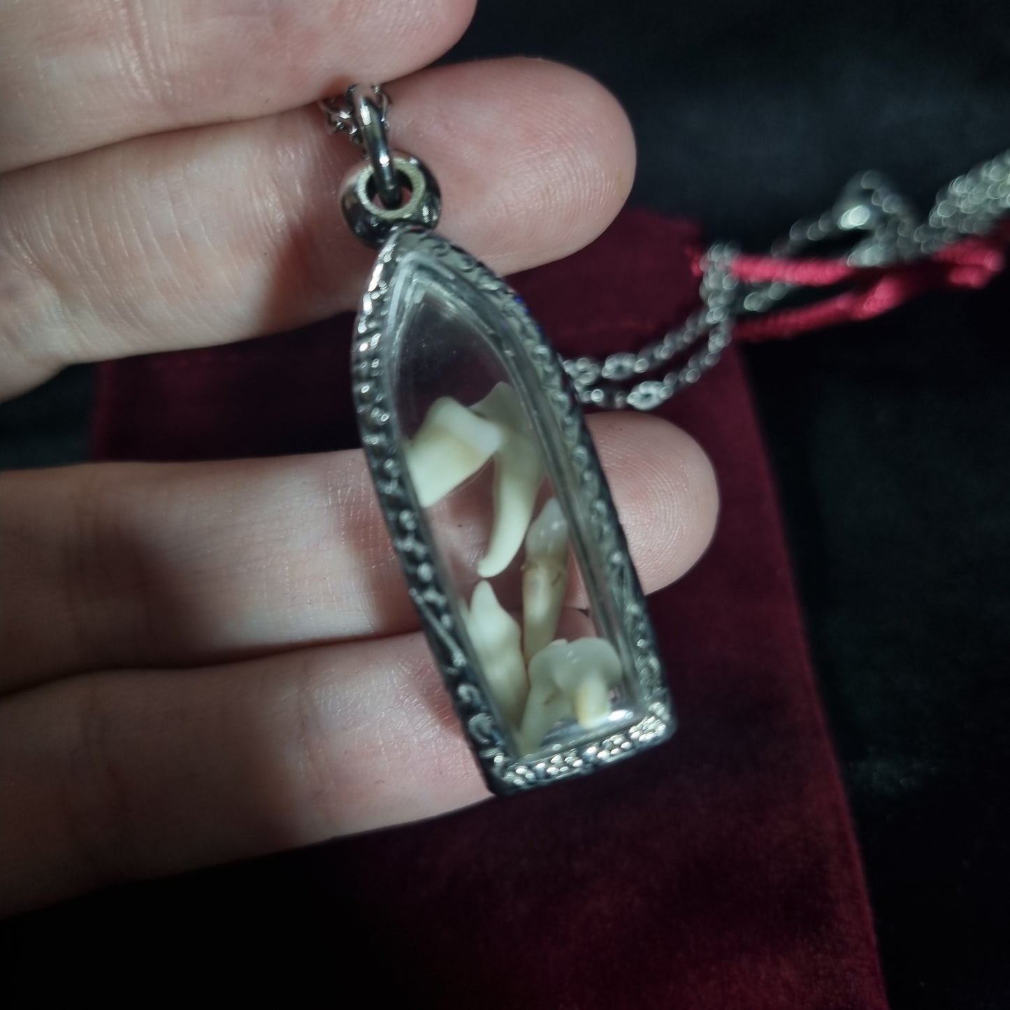Fox Teeth Necklace