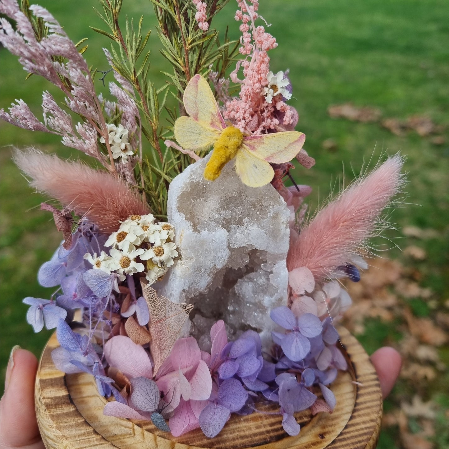 Raffle - Maple Moth