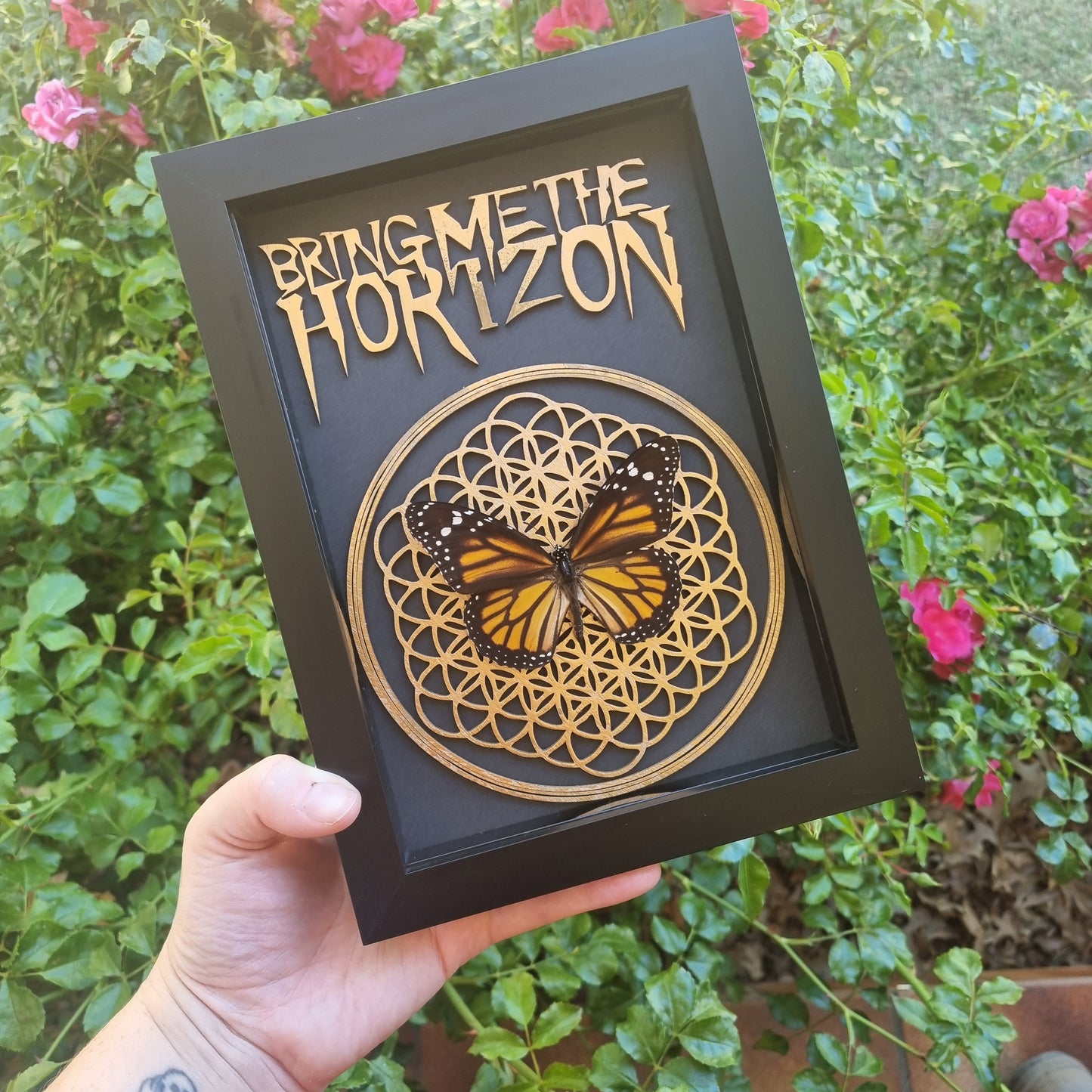 BMTH Monarch Display