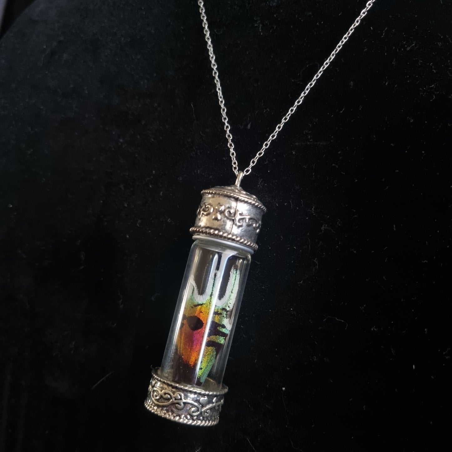 Necklace | Madagascan Sunset Moth