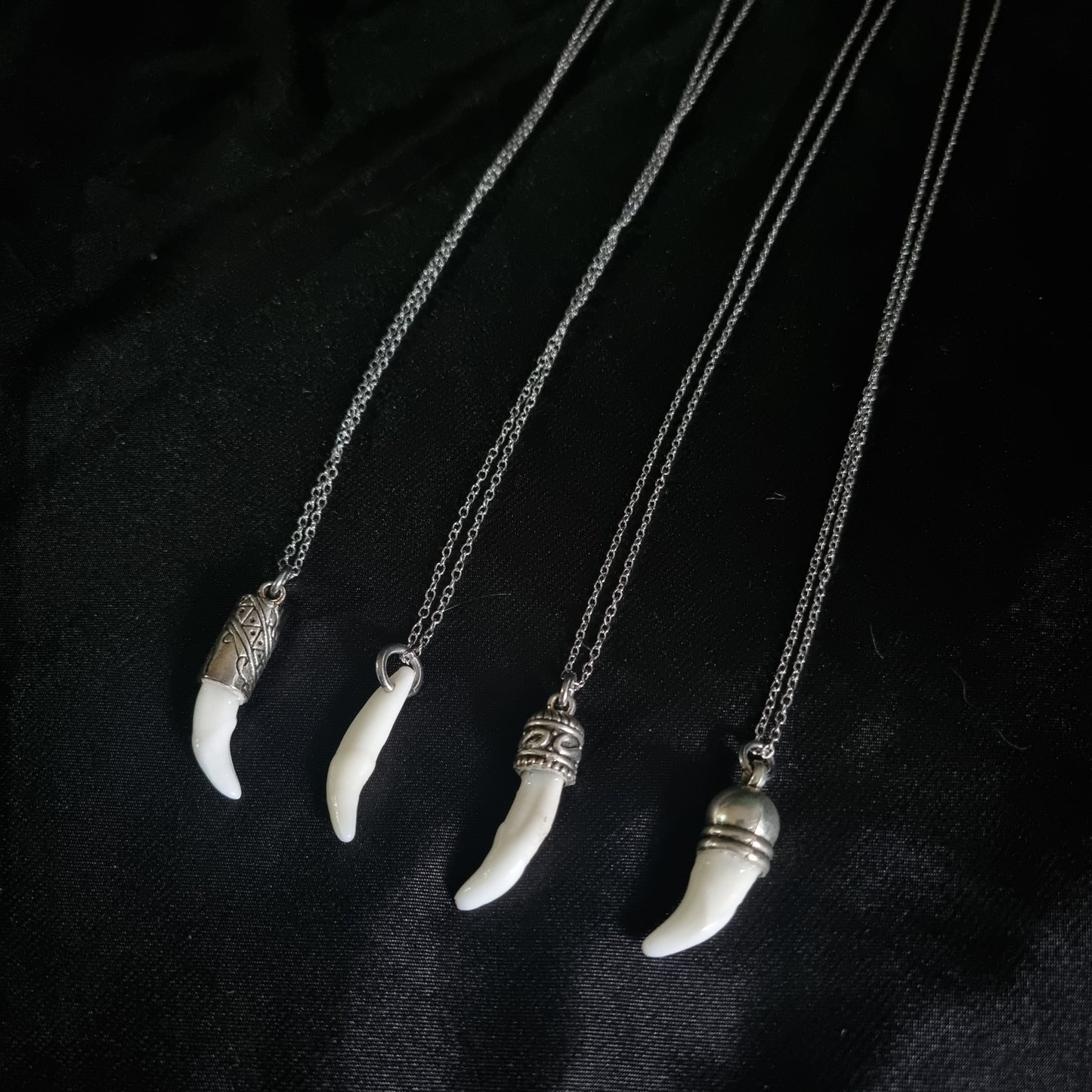 Coyote Tooth Necklace