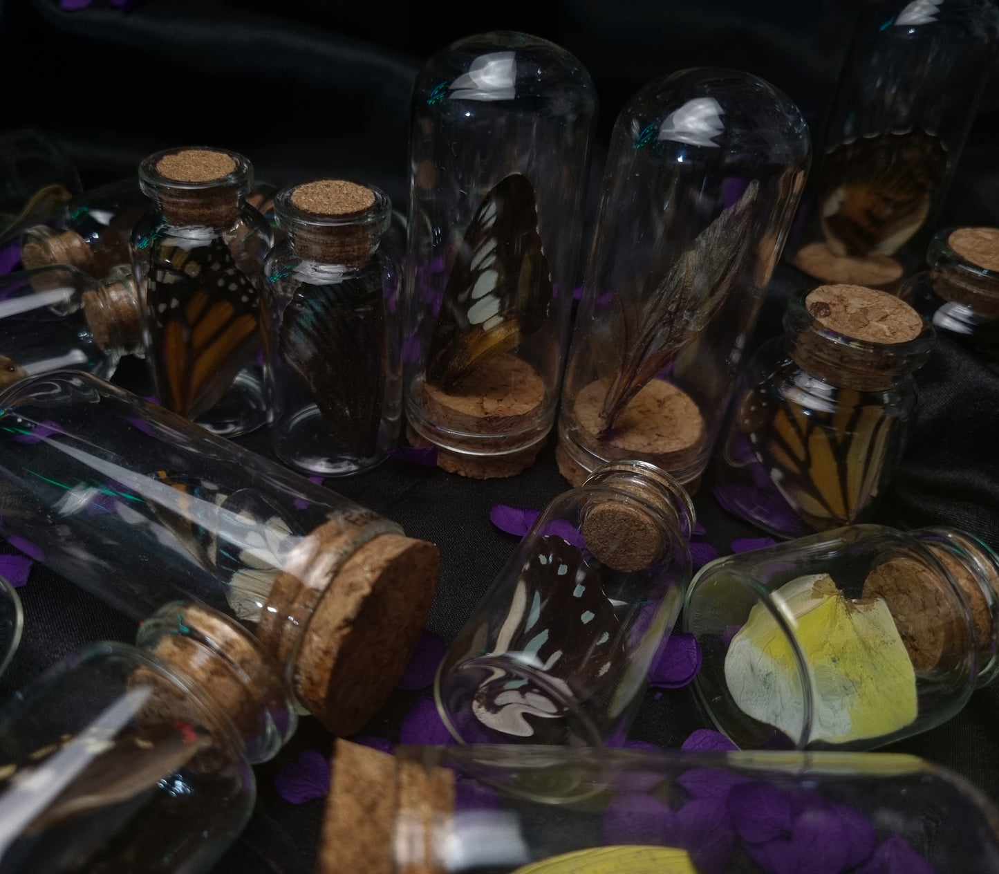 Assorted Wing Jars