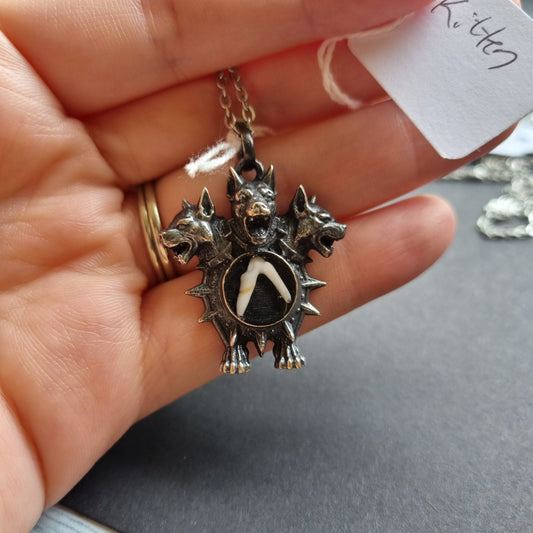Fox Tooth 2