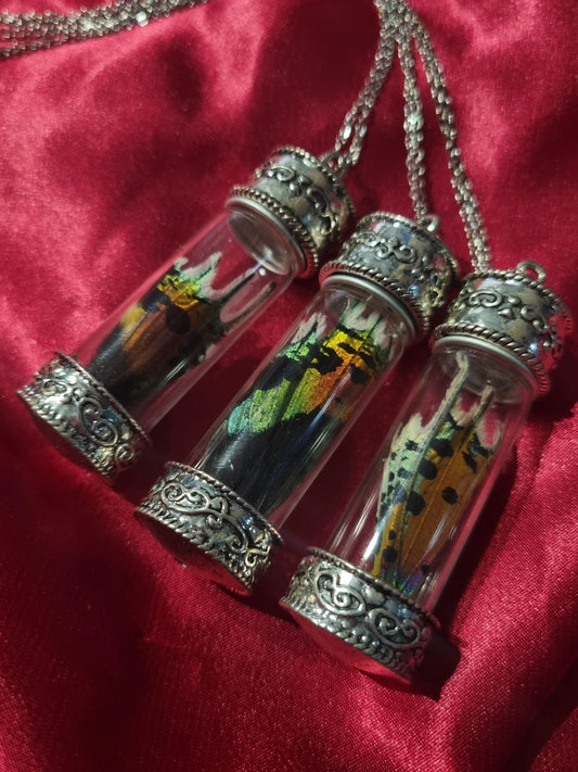 Necklace | Madagascan Sunset Moth
