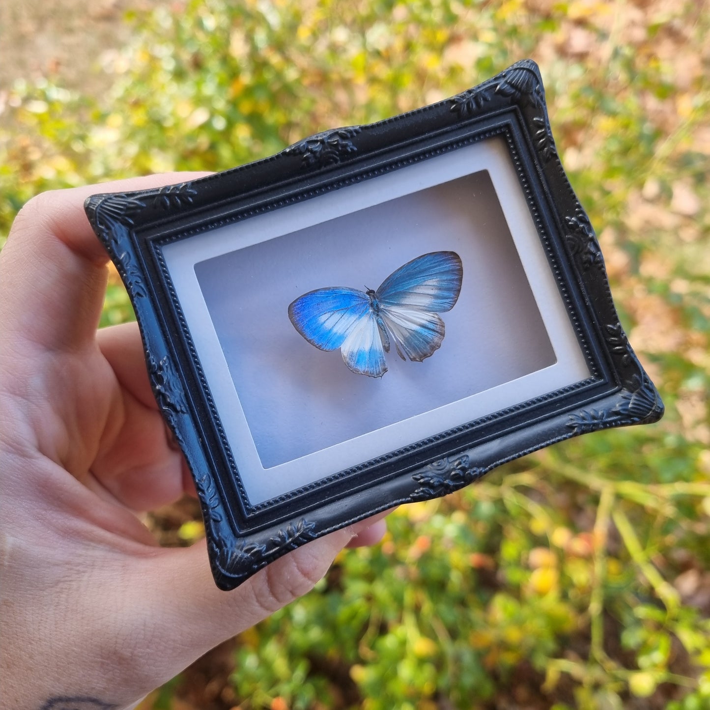 Mini Magnet Frames