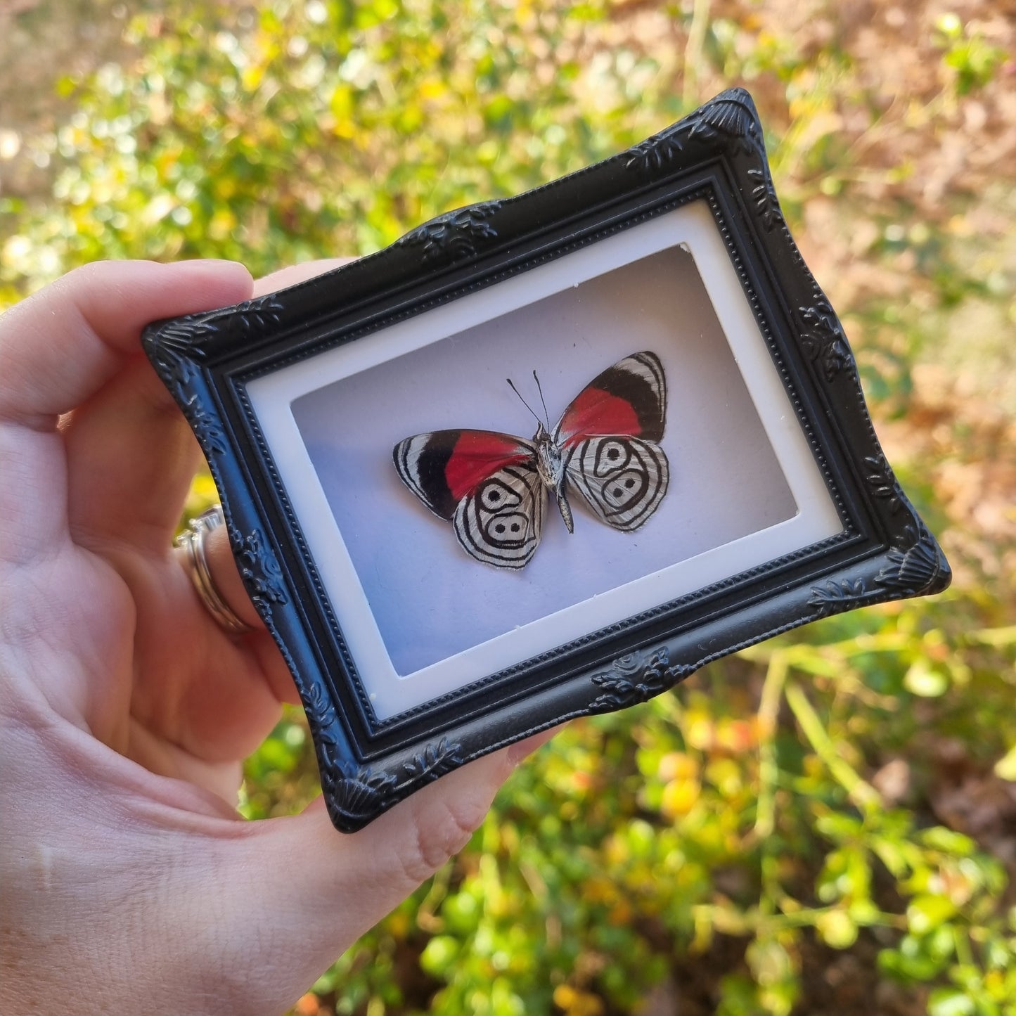 Mini Magnet Frames