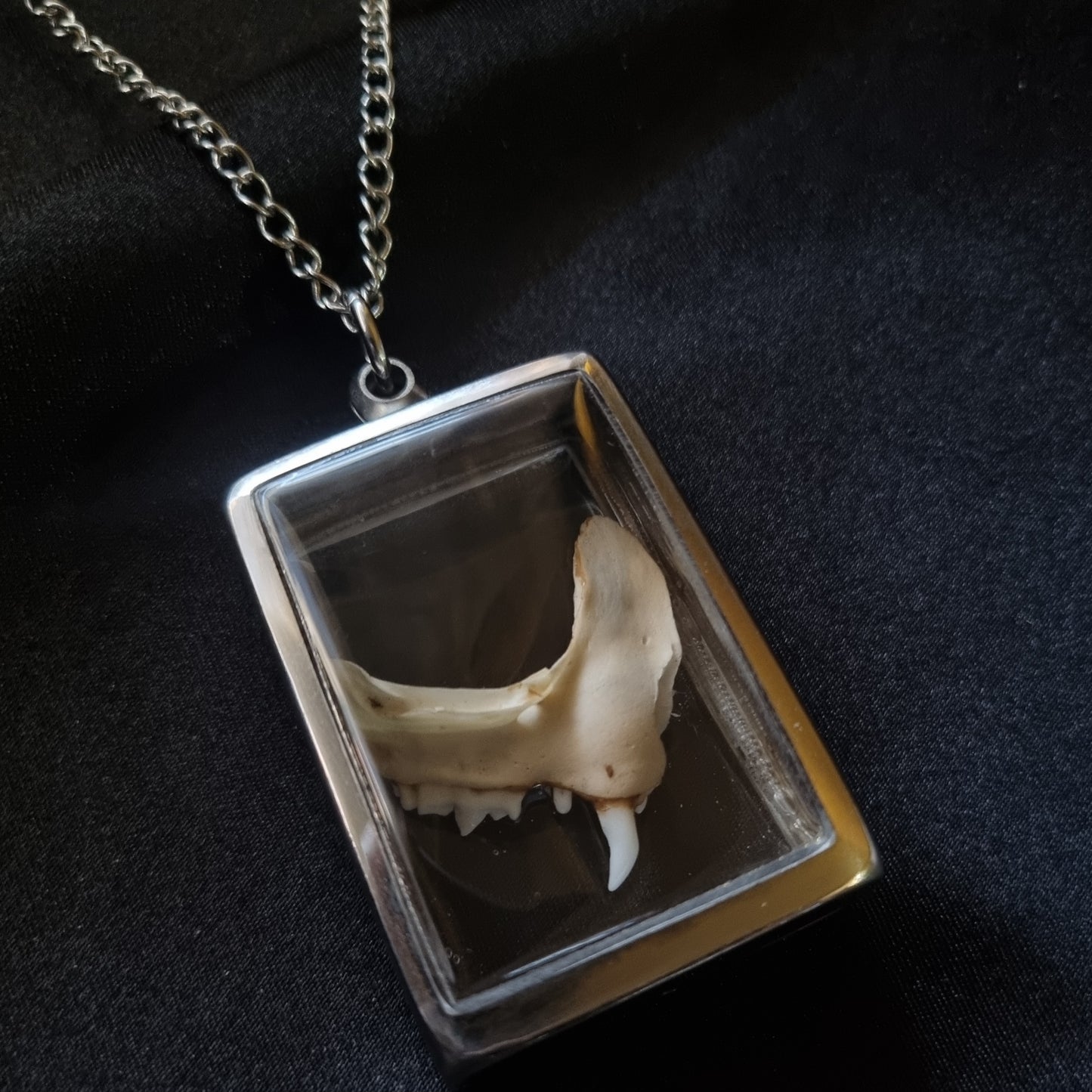 Kitten Teeth Necklace