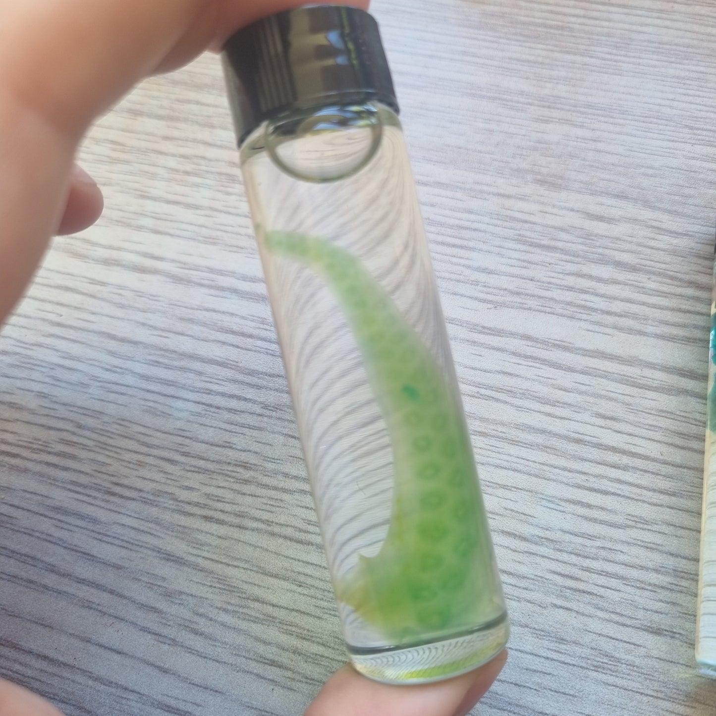 Diaphonised Octopus Tentacles