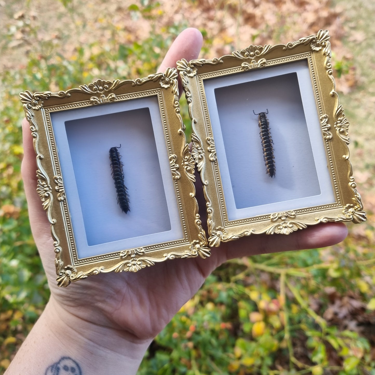 Mini Magnet Frames