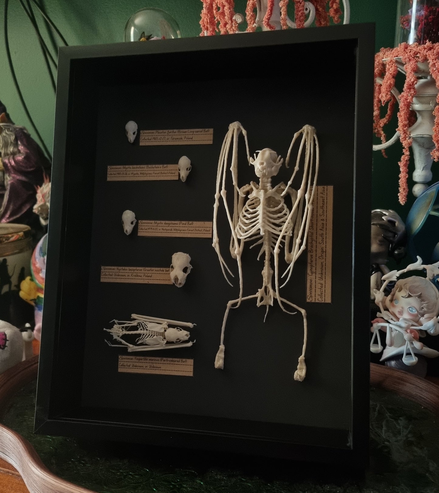 Museum Style Bat Specimen Replica