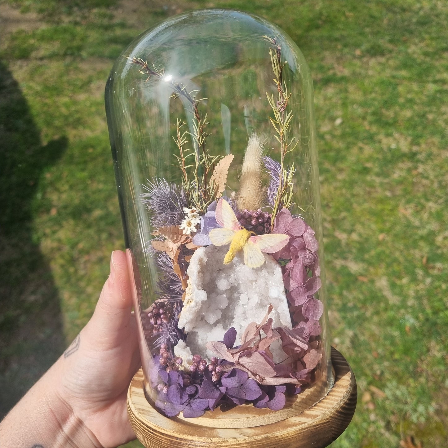 Custom Order Maple Moth