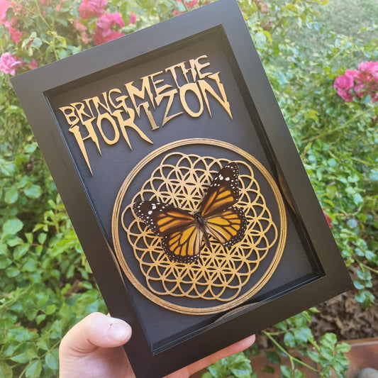 BMTH Monarch Display