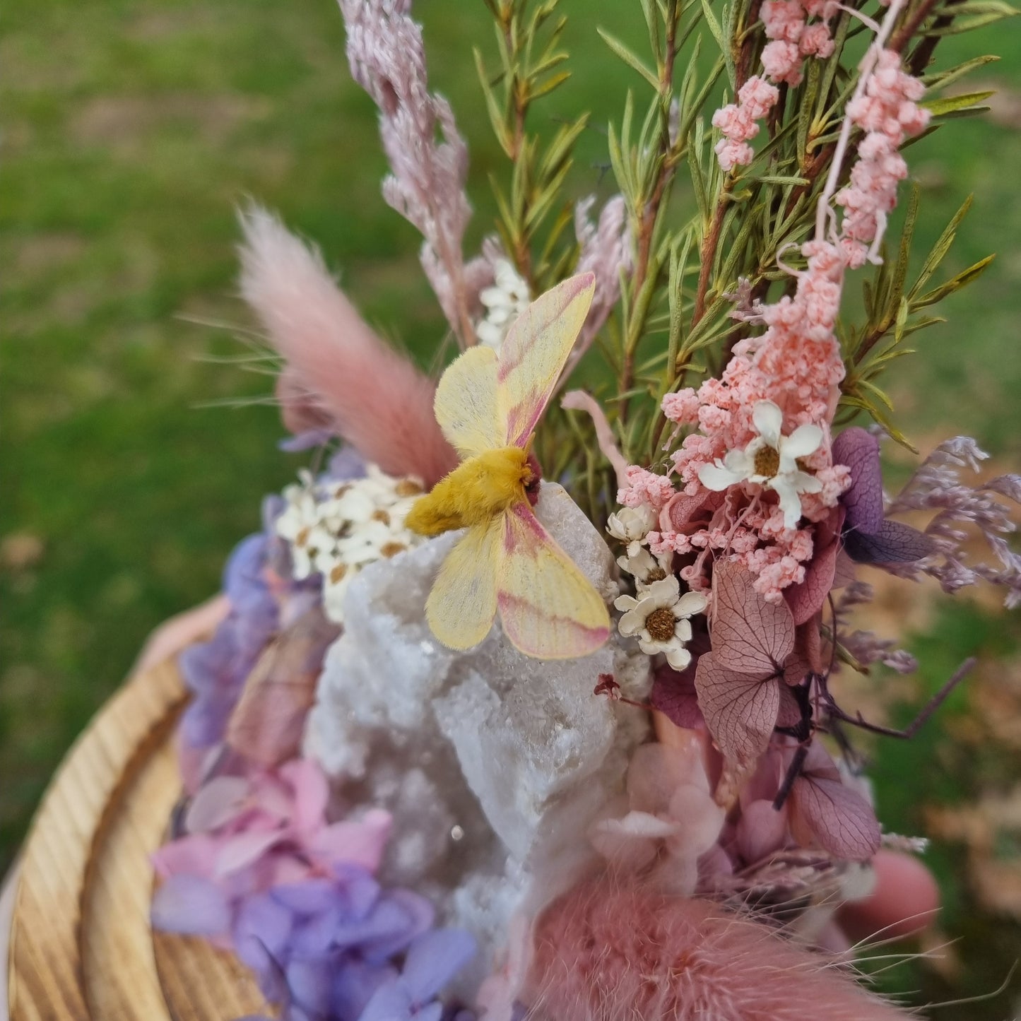Raffle - Maple Moth