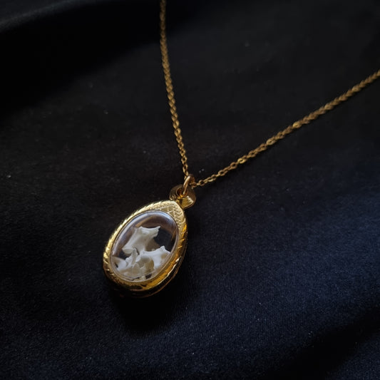 Snake Vertebrae Necklace