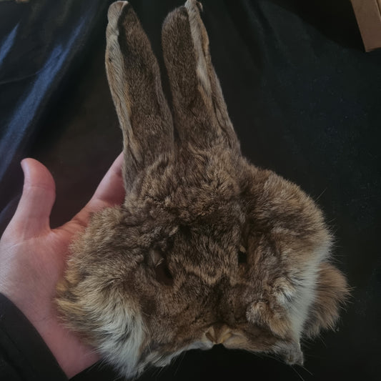 Fluffy Bunny Face - Tanned