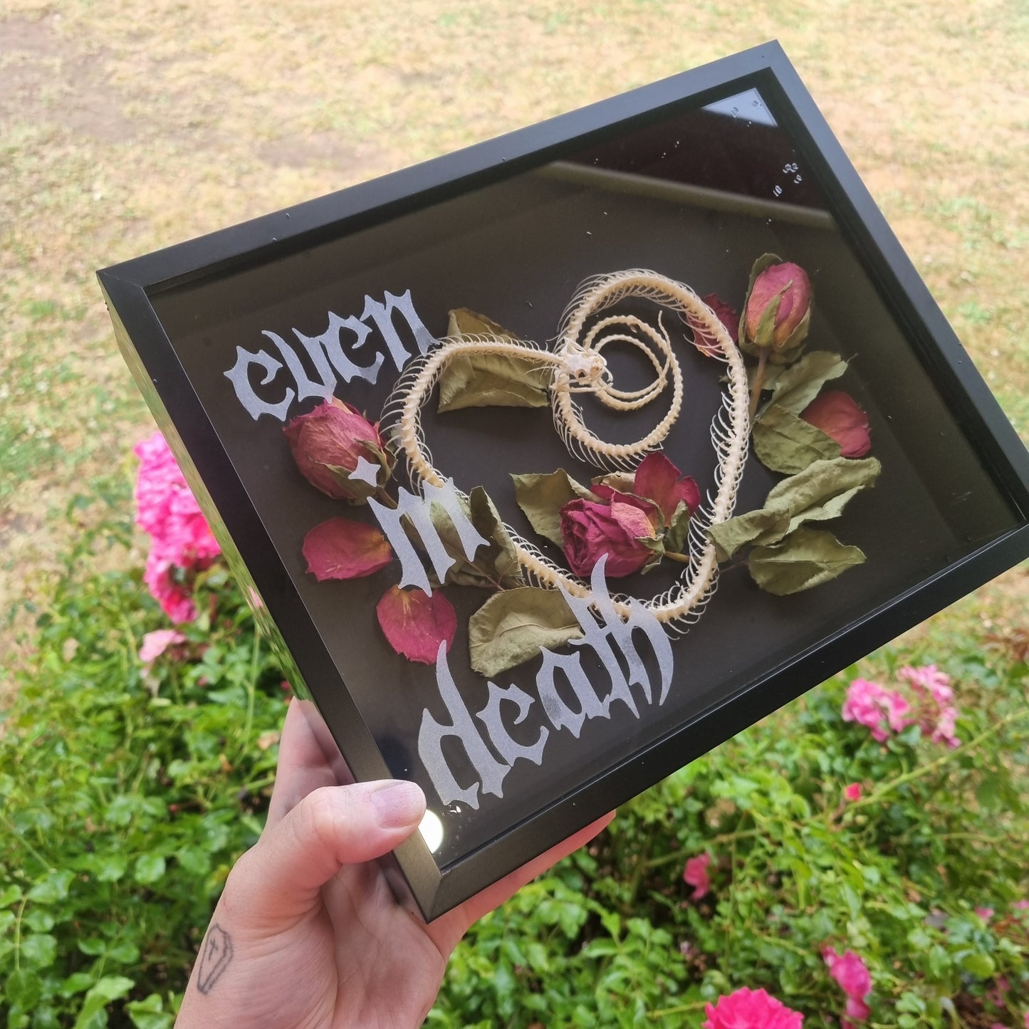 Snake Skeleton - Engraved Glass