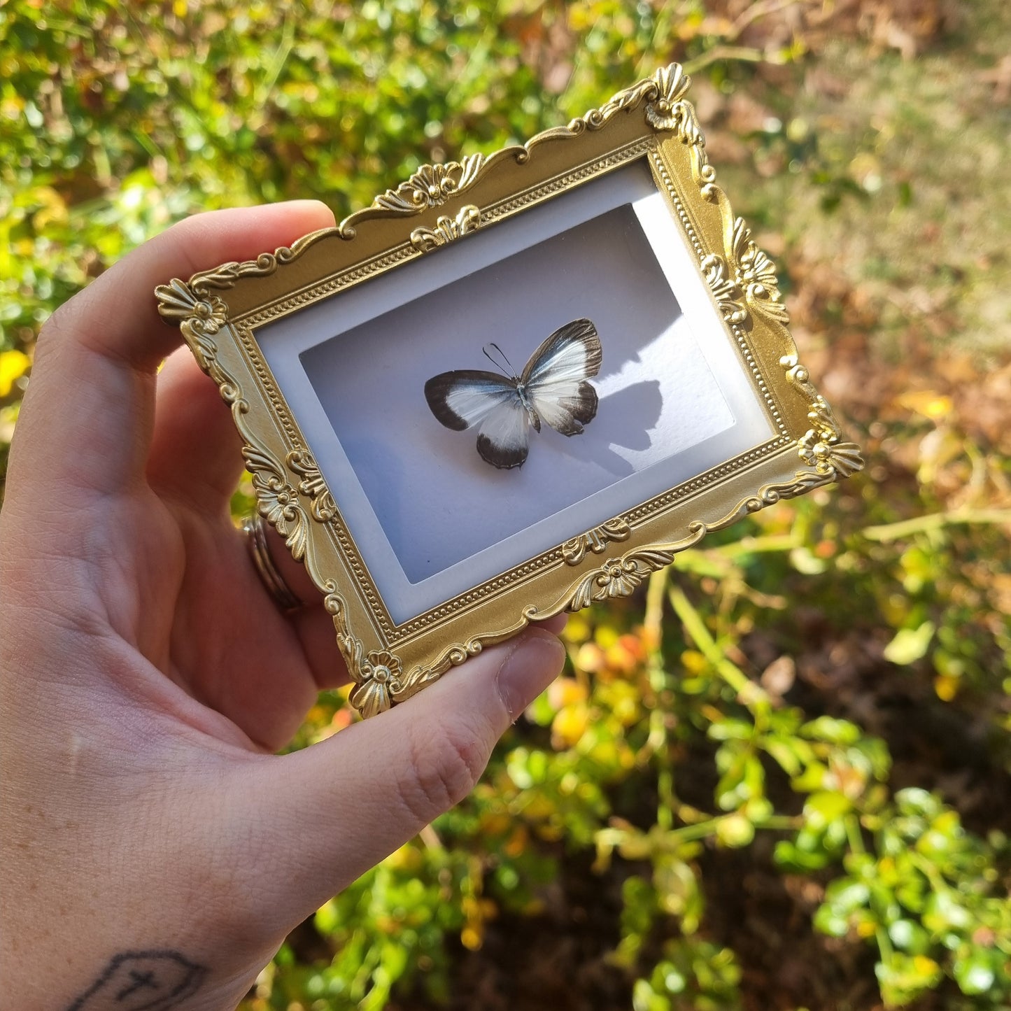 Mini Magnet Frames
