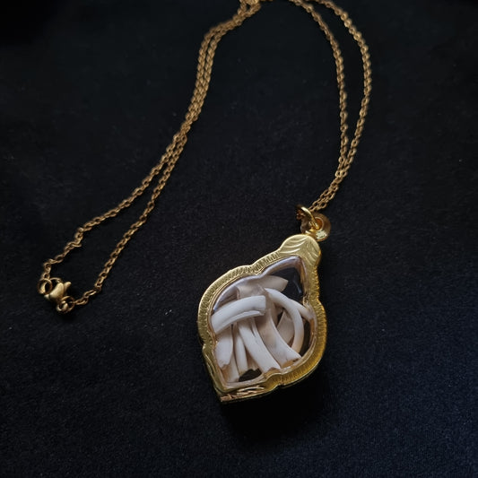 Rabbit Teeth Necklace