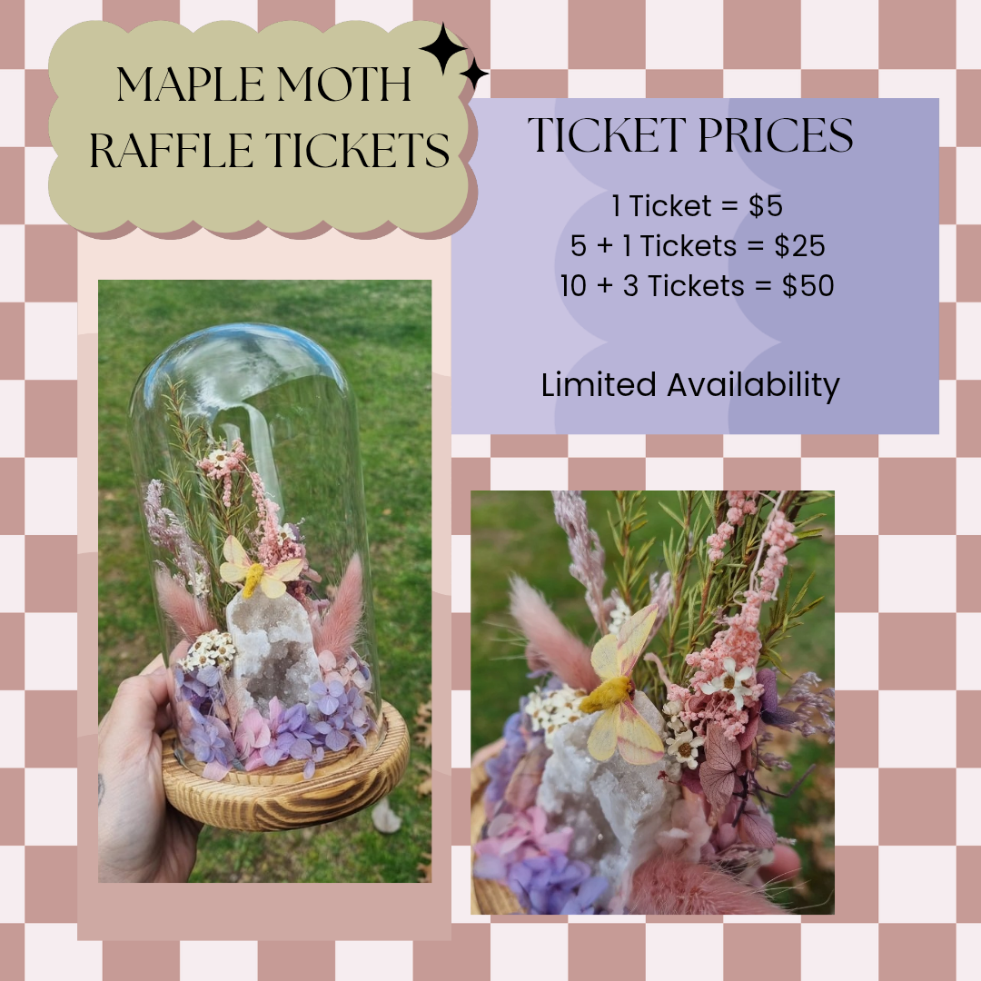Raffle - Maple Moth