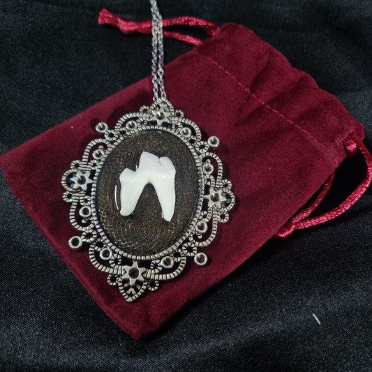 Fox Tooth Pendant