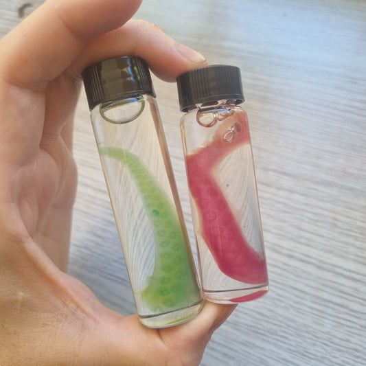 Diaphonised Octopus Tentacles