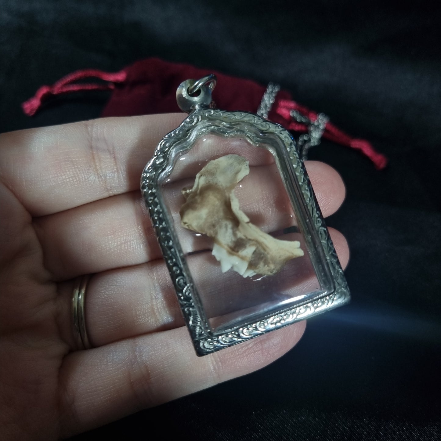 Cat Jaw & Teeth Pendant (Damaged)