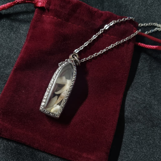 Fox Teeth Necklace