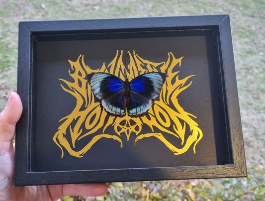 Bring Me The Horizon | Agrias Beatifica | Frame