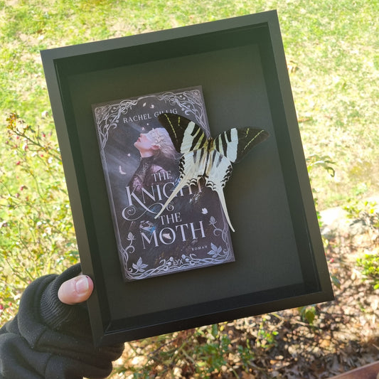 Graphium Androcles | Book |The Knight & The Moth | Frame | Framed Entomology Décor | Real Specimen | Nature