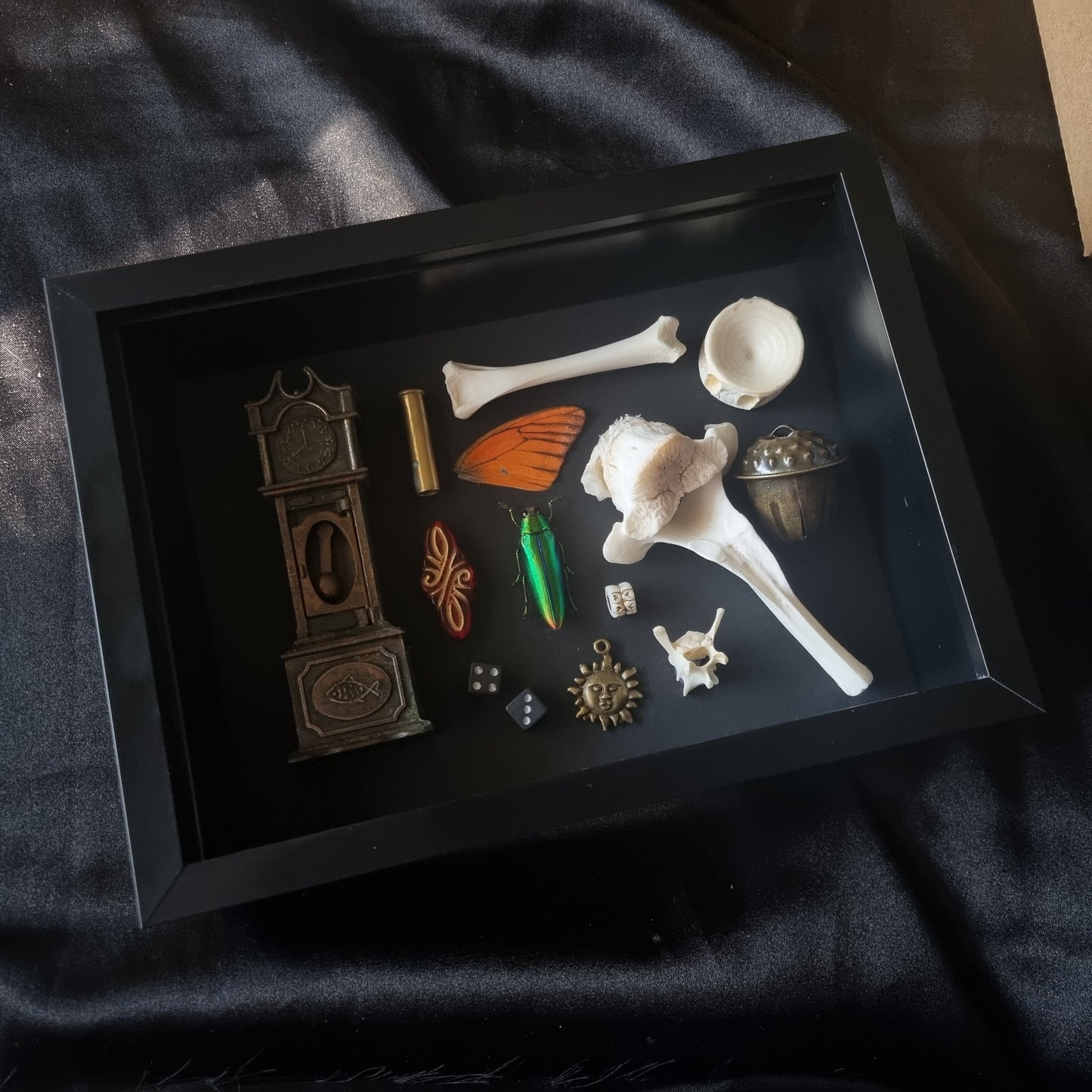 Curio Clock | Mixed Oddity Frame | Framed Entomology Décor | Real Specimen | Nature