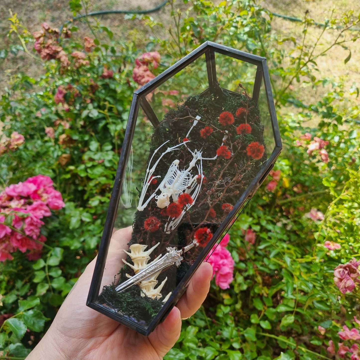 Bat Skeleton Coffin | Curio | Replica