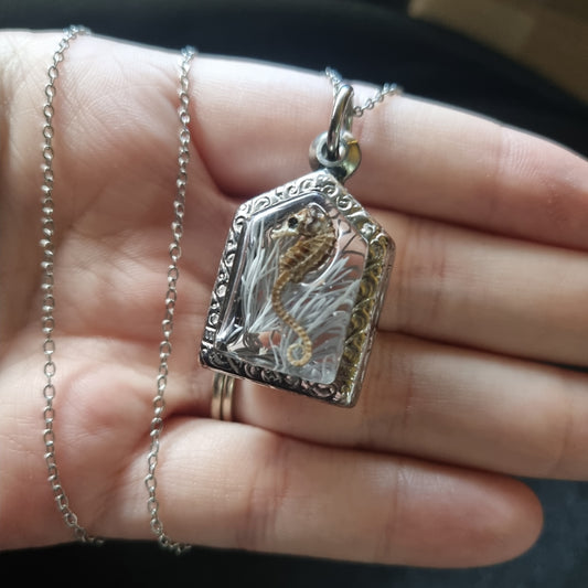 Real Seahorse Pendant