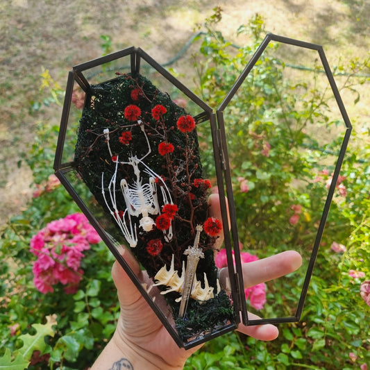 Bat Skeleton Coffin | Curio | Replica